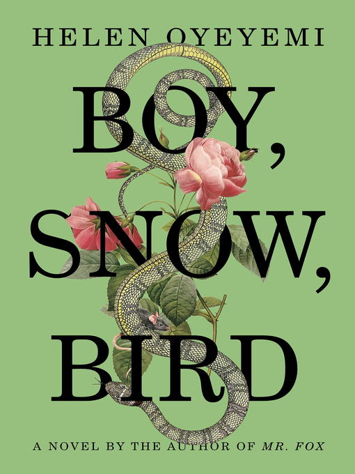 Title details for Boy Snow Bird by Helen Oyeyemi - Wait list